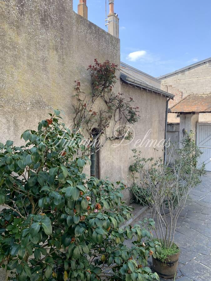 Maison de maître — Opportunité rare sur Amboise