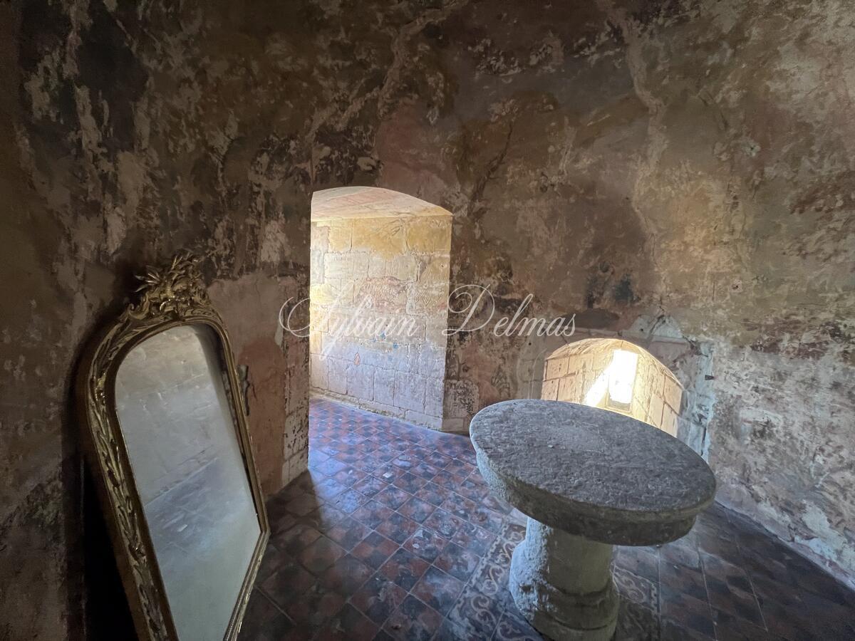 Château historique du XVe siècle