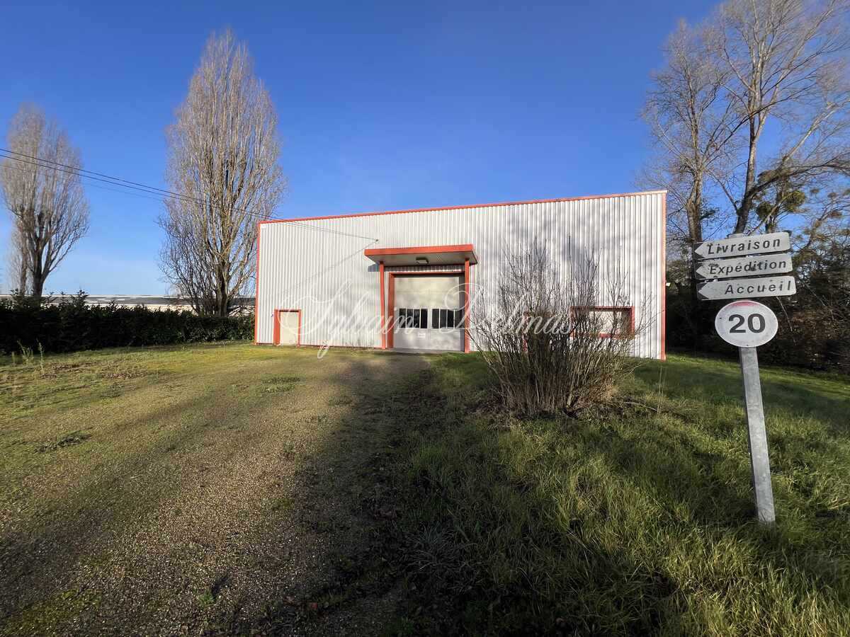 LOCAUX INDUSTRIELS   NAZELLE NEGRON