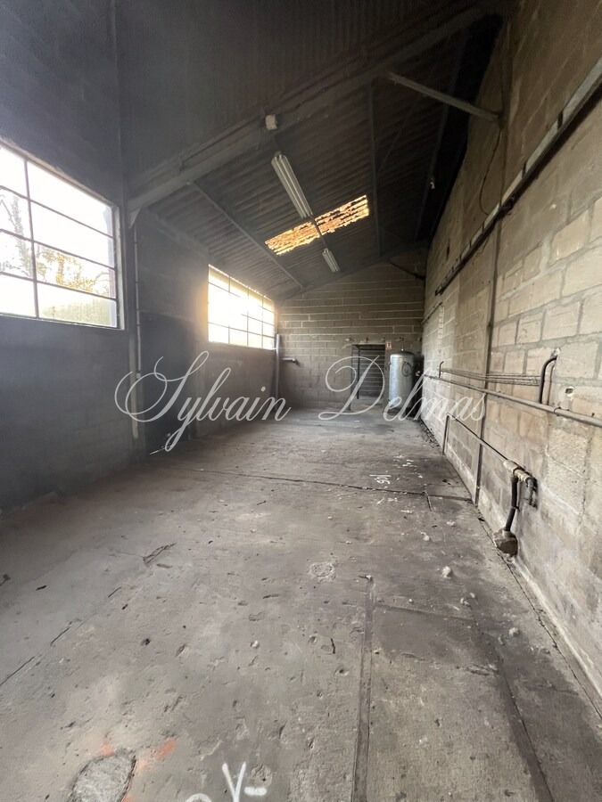 LOCAUX INDUSTRIELS   NAZELLE NEGRON