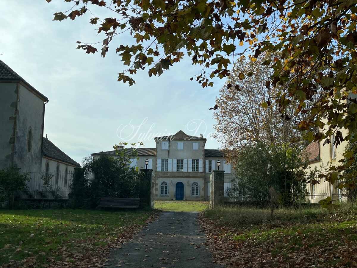 Château — CHATEAU XVIII sur 70 ha, VUE PANORAMIQUE PYRÉNÉES