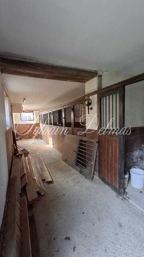 Propriété équestre — Beau château  XIX eme à vendre en Haut-Anjou.