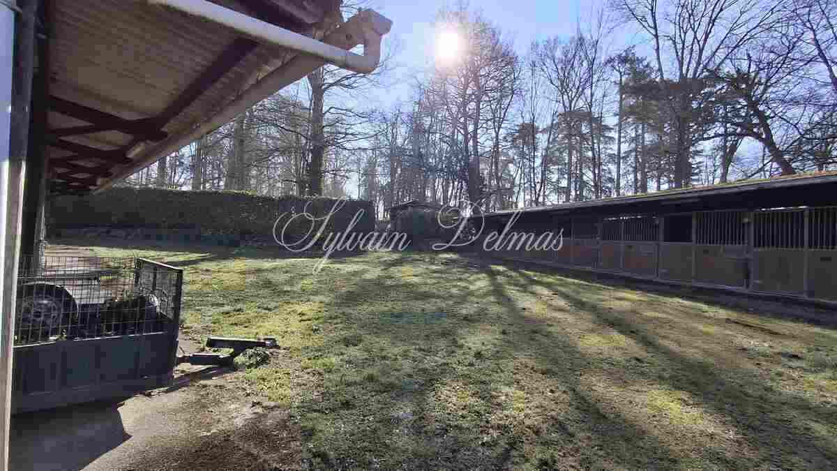 Propriété équestre — Beau château  XIX eme à vendre en Haut-Anjou.
