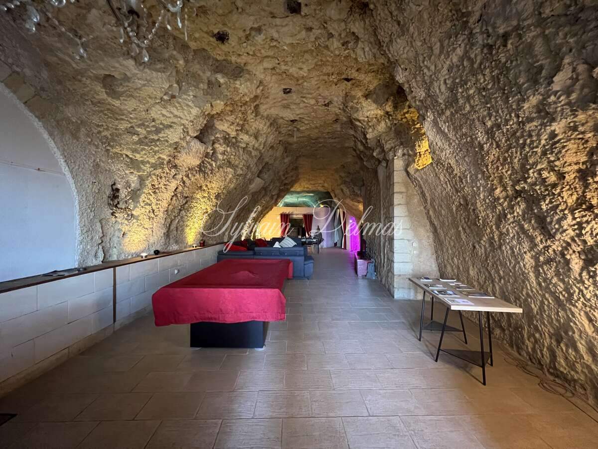 Domaine — PROPRIETE TROGLODYTE A AMBOISE