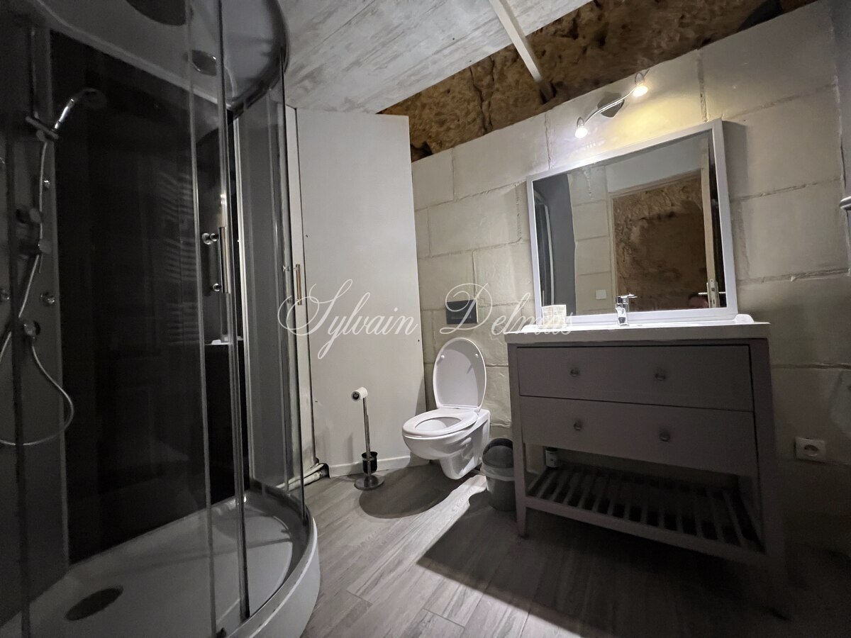 Domaine — PROPRIETE TROGLODYTE A AMBOISE