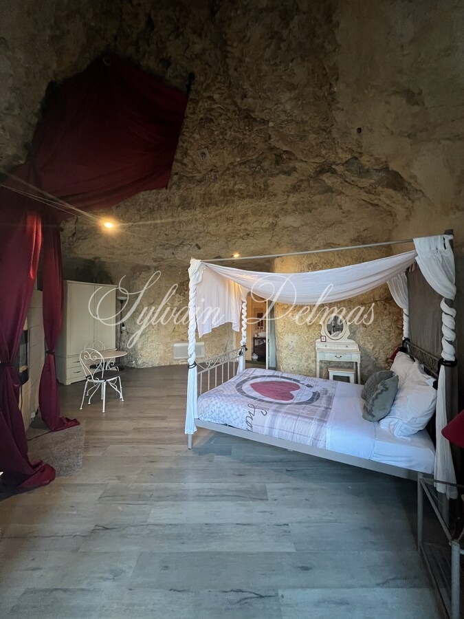 Domaine — PROPRIETE TROGLODYTE A AMBOISE