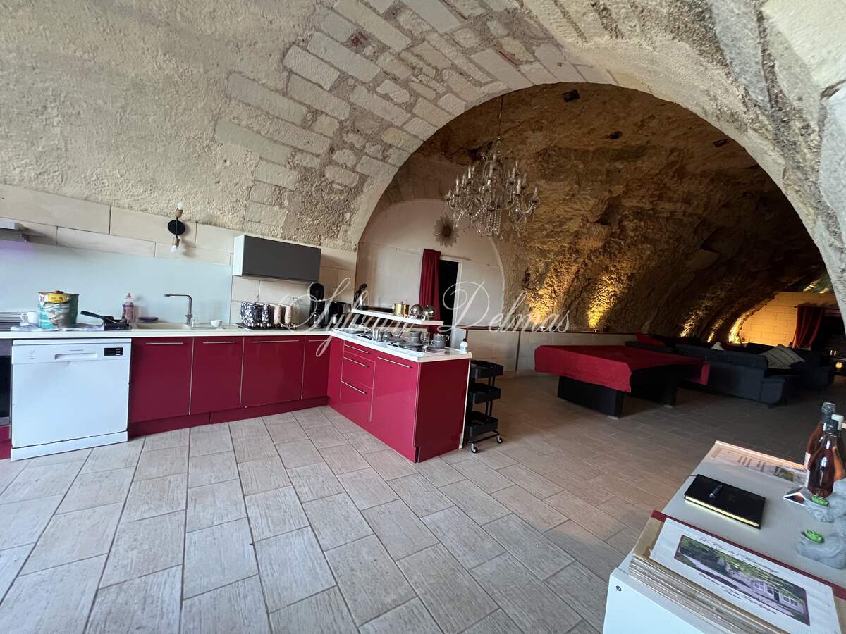 Domaine — PROPRIETE TROGLODYTE A AMBOISE