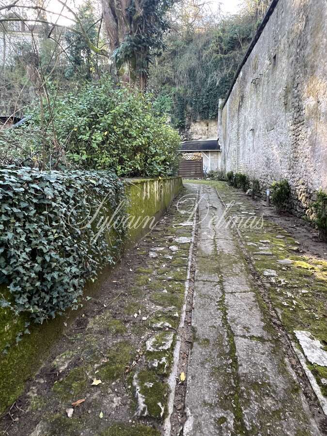 Domaine — PROPRIETE TROGLODYTE A AMBOISE