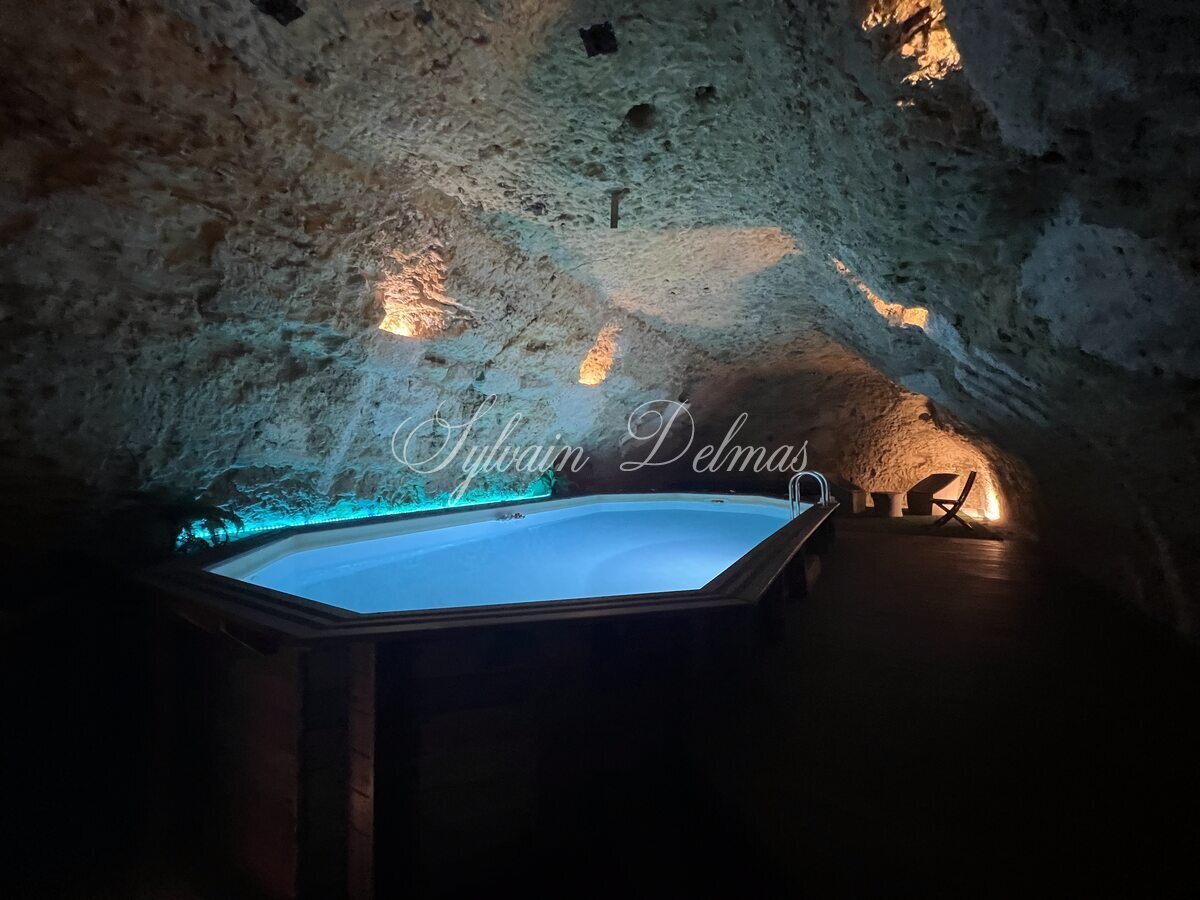 Domaine — PROPRIETE TROGLODYTE A AMBOISE