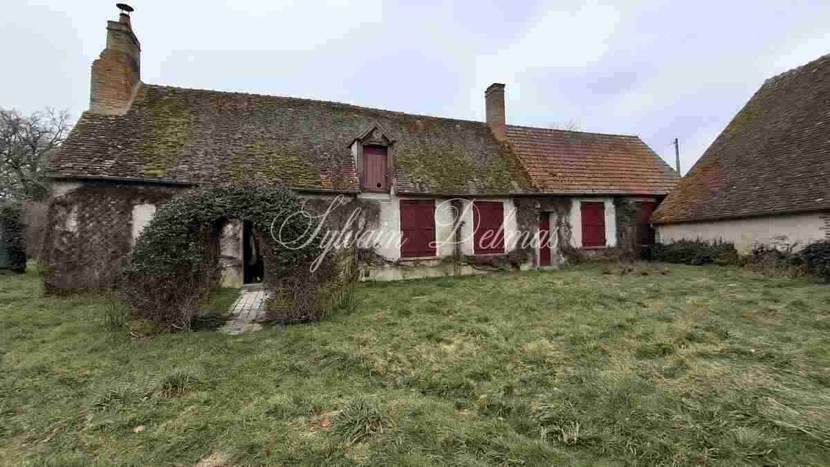 Propriété de chasse en Sologne s'étendant sur 84 hectares a 15 min de Romorantin.