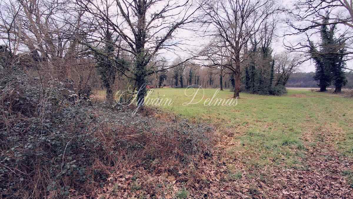 Propriété de chasse en Sologne s'étendant sur 84 hectares a 15 min de Romorantin.
