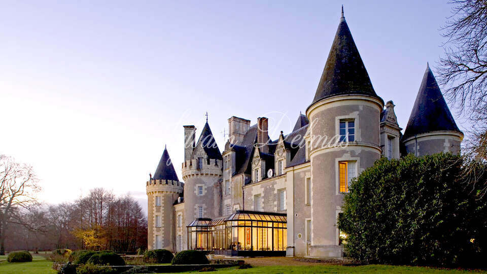 Château — A vendre une des pépite de la Touraine