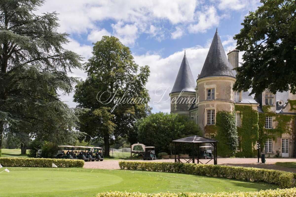 Château — A vendre une des pépite de la Touraine