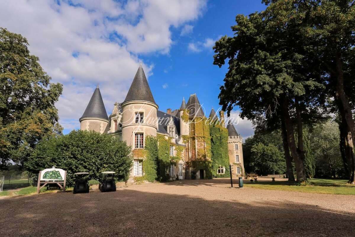 Château — A vendre une des pépite de la Touraine