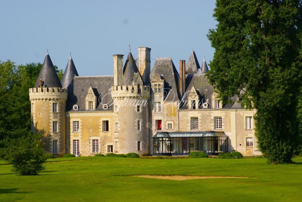 Château — A vendre une des pépite de la Touraine