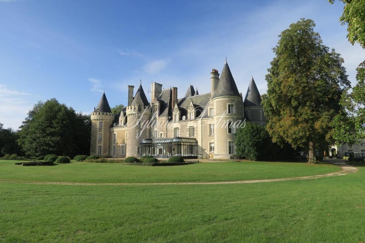 Château — A vendre une des pépite de la Touraine