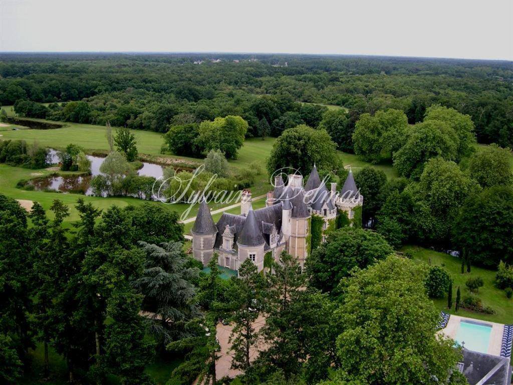 Château — A vendre une des pépite de la Touraine