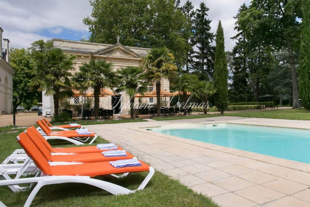 Château — A vendre une des pépite de la Touraine