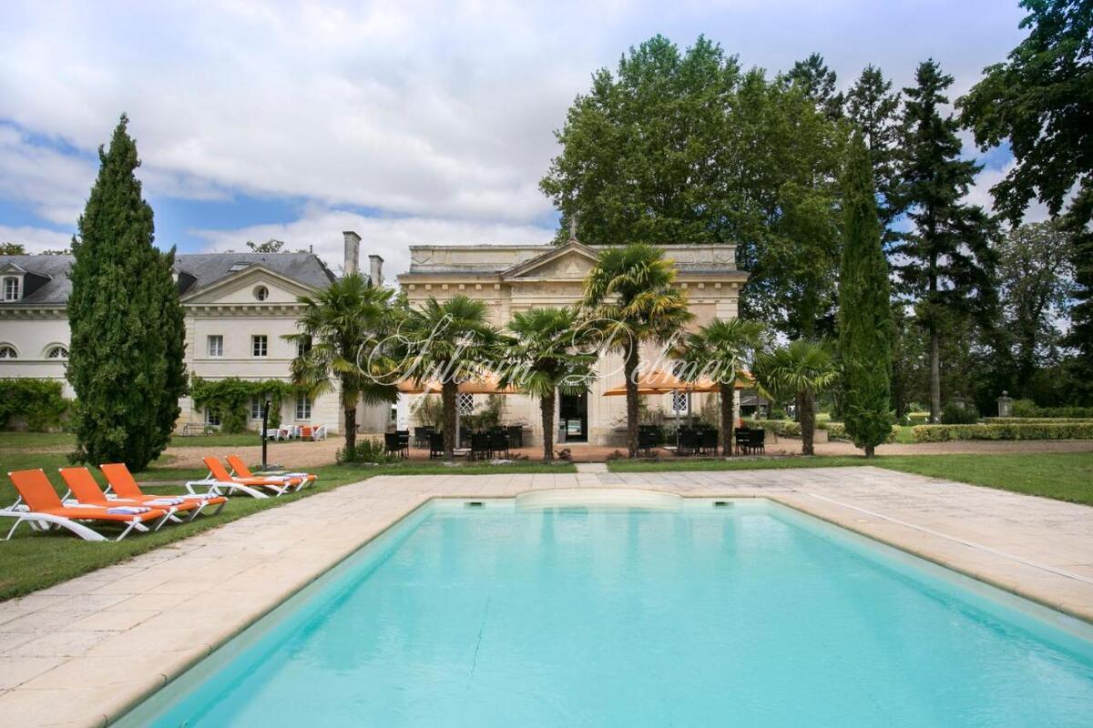 Château — A vendre une des pépite de la Touraine