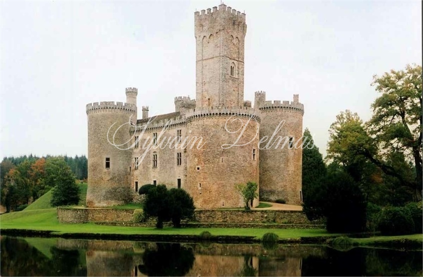 Un château médiéval Dans le Périgord du XIIe siècle situé sur un vaste domaine de 170 hectares avec une restauration complète qui honore son patrimoine.