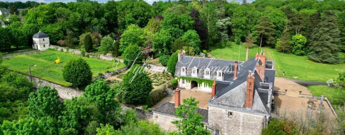 Château à 10 min de Tours de 500m2 sur un magnifique parc de 5ha.