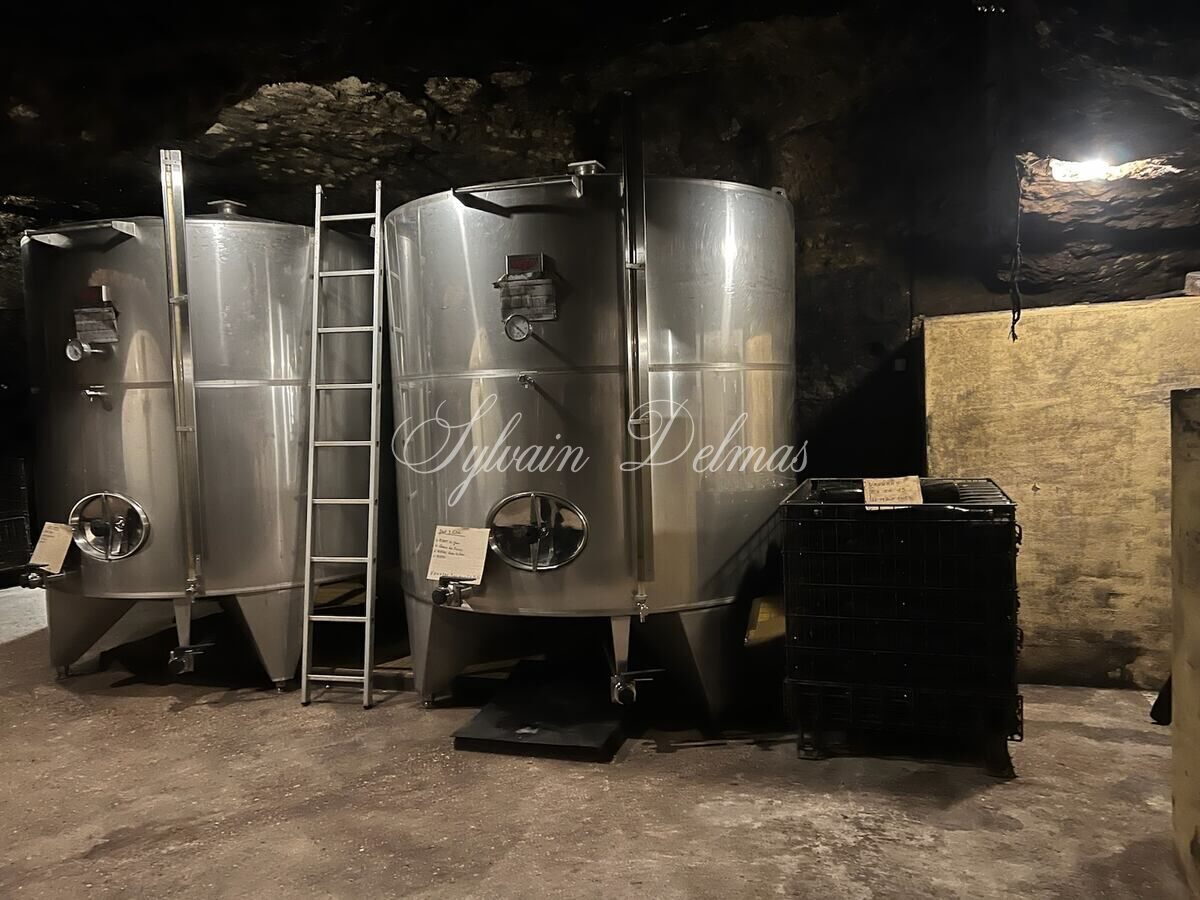 Propriété viticole — Rare opportunité… Vignoble en appellation Vouvray de 20 ha.