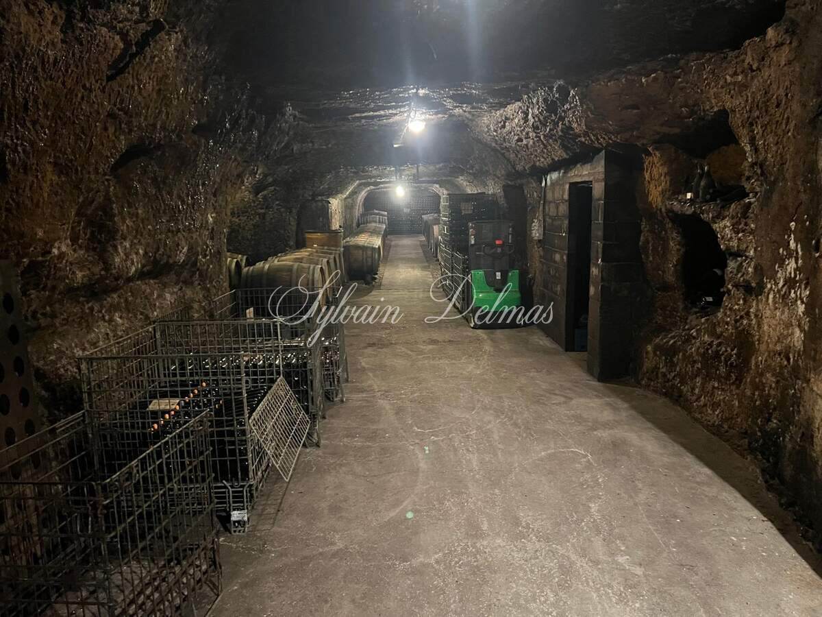 Propriété viticole — Rare opportunité… Vignoble en appellation Vouvray de 20 ha.