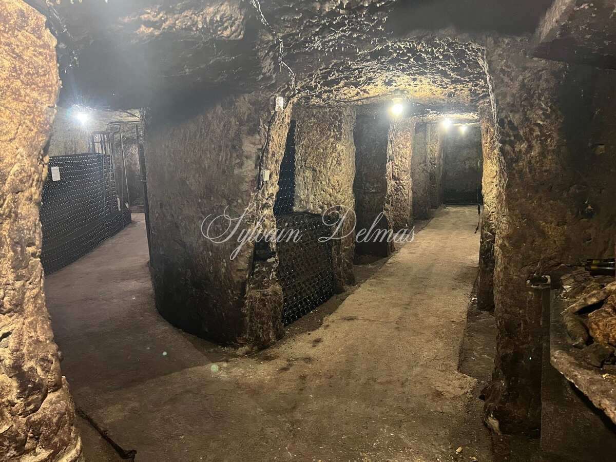 Propriété viticole — Rare opportunité… Vignoble en appellation Vouvray de 20 ha.