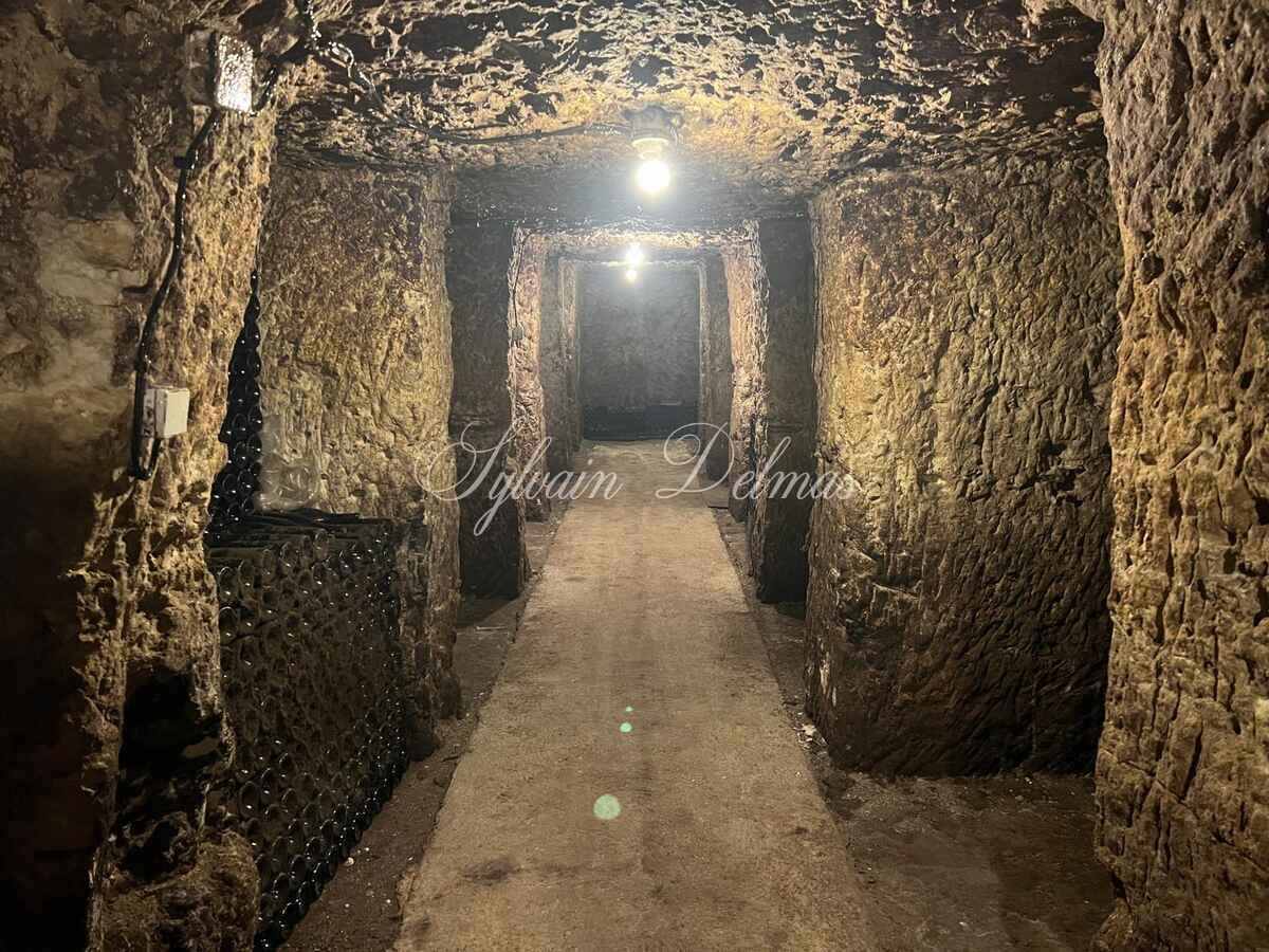 Propriété viticole — Rare opportunité… Vignoble en appellation Vouvray de 20 ha.