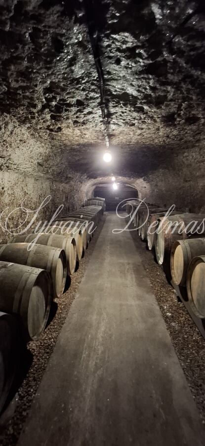 Propriété viticole — Rare opportunité… Vignoble en appellation Vouvray de 20 ha.
