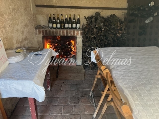 Propriété viticole — Rare opportunité… Vignoble en appellation Vouvray de 20 ha.