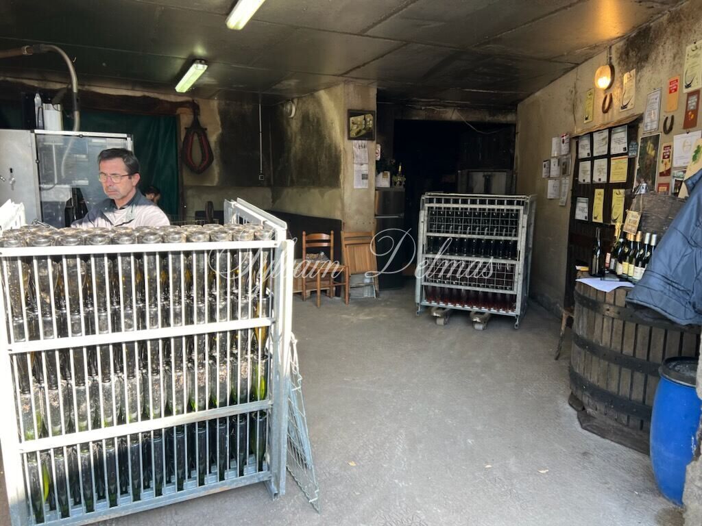Propriété viticole — Rare opportunité… Vignoble en appellation Vouvray de 20 ha.