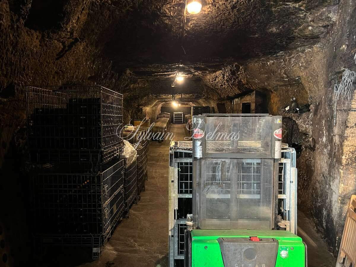 Propriété viticole — Rare opportunité… Vignoble en appellation Vouvray de 20 ha.