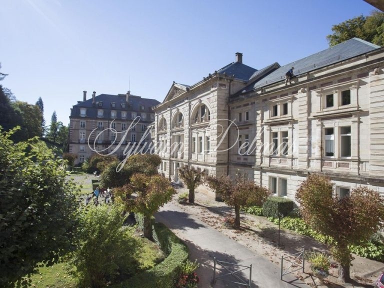 Immeuble de prestige — Hotel, restaurant, thermes de 14000m2  avec 110 chambres.