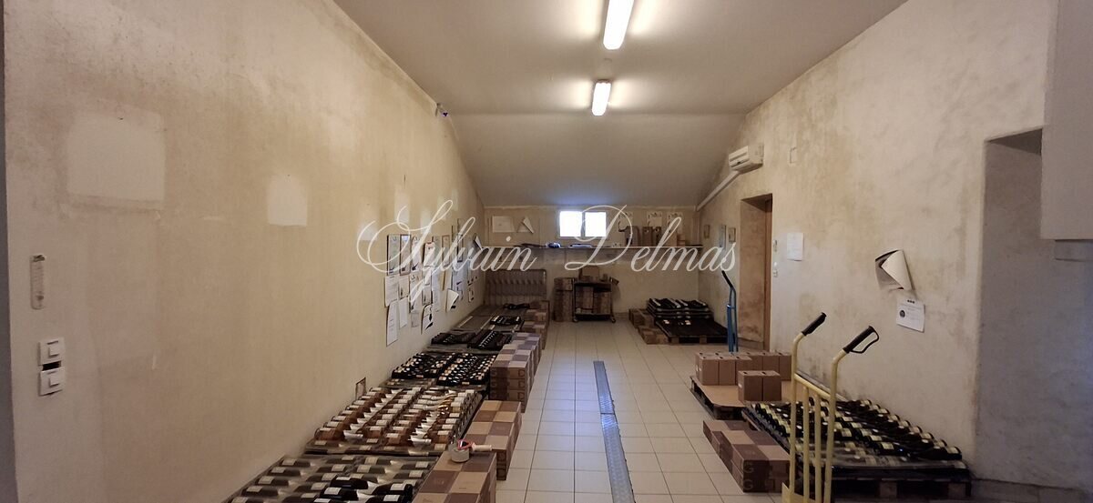 Propriété viticole — Vignoble: Appellation Chenonceau. Belle Opportunité.  Collectionneur de médailles