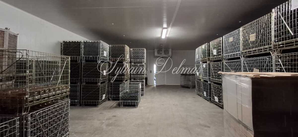 Propriété viticole — Vignoble: Appellation Chenonceau. Belle Opportunité.  Collectionneur de médailles