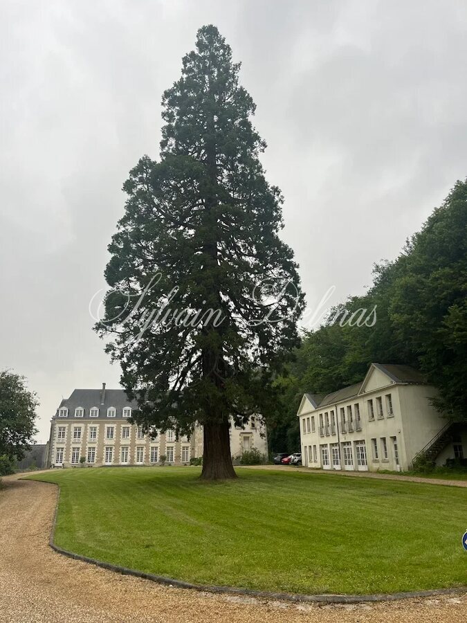 FABULEUX CHÂTEAU XVII ÈME EN VAL DE LOIRE