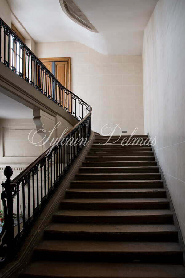 Appartement d'exception — Appartement parisien d'exception – Charme de l'ancien & modernité élégante dans le 9ème.