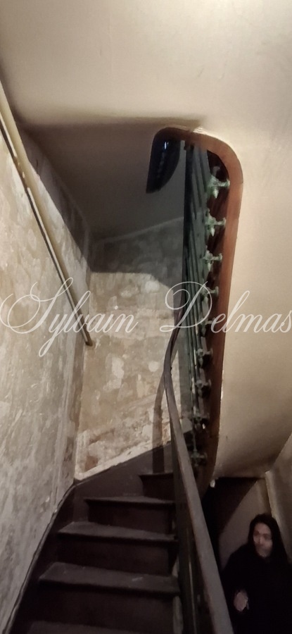 Rénovez cette maison de 143 m2 avec dépendances et deux jardins dans Tours.