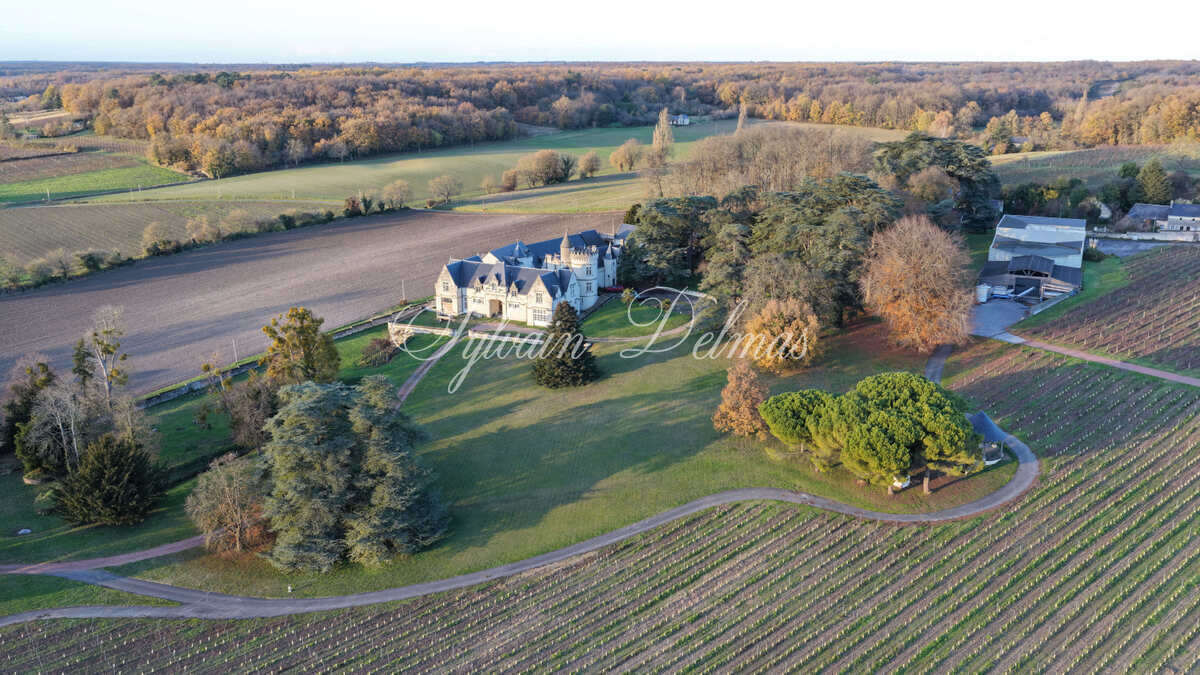 Propriété viticole — Château/vignoble d’appelation “Saumur” merveilleusement rénové pour recevoir des mariages et pour l’évènementiel.