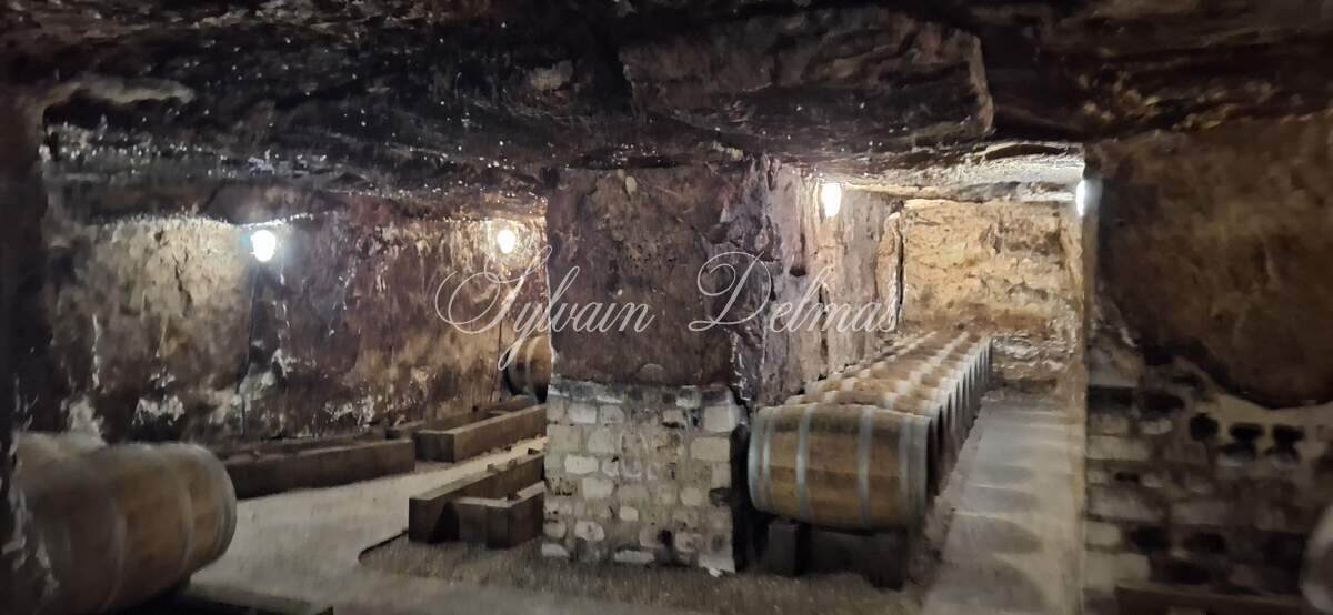 Propriété viticole — Château/vignoble d’appelation “Saumur” merveilleusement rénové pour recevoir des mariages et pour l’évènementiel.