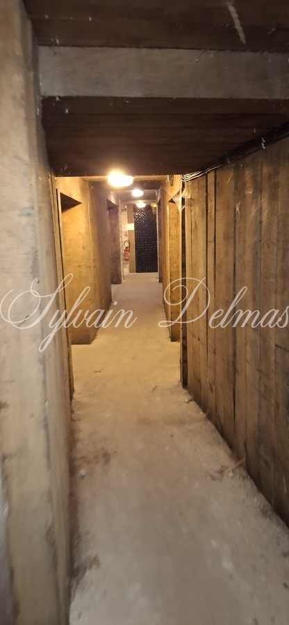 Propriété viticole — Château/vignoble d’appelation “Saumur” merveilleusement rénové pour recevoir des mariages et pour l’évènementiel.