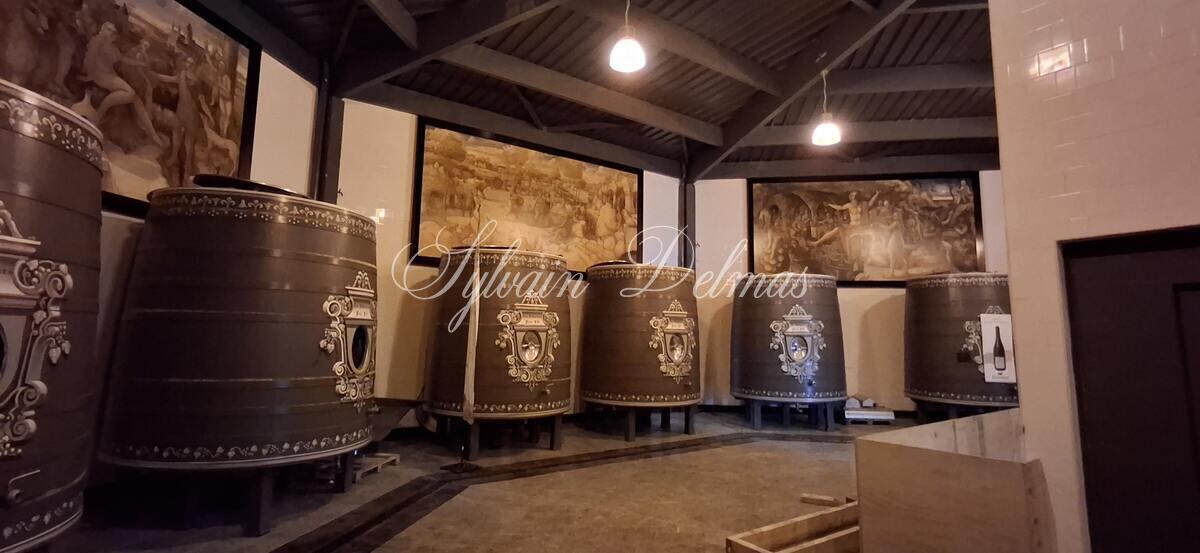 Propriété viticole — Château/vignoble d’appelation “Saumur” merveilleusement rénové pour recevoir des mariages et pour l’évènementiel.