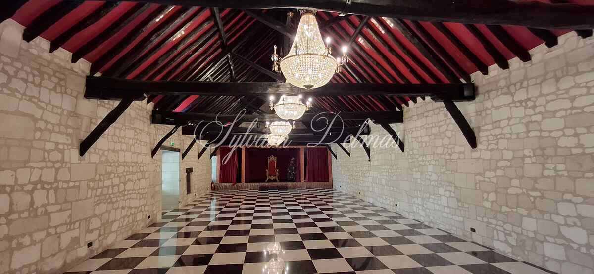 Propriété viticole — Château/vignoble d’appelation “Saumur” merveilleusement rénové pour recevoir des mariages et pour l’évènementiel.