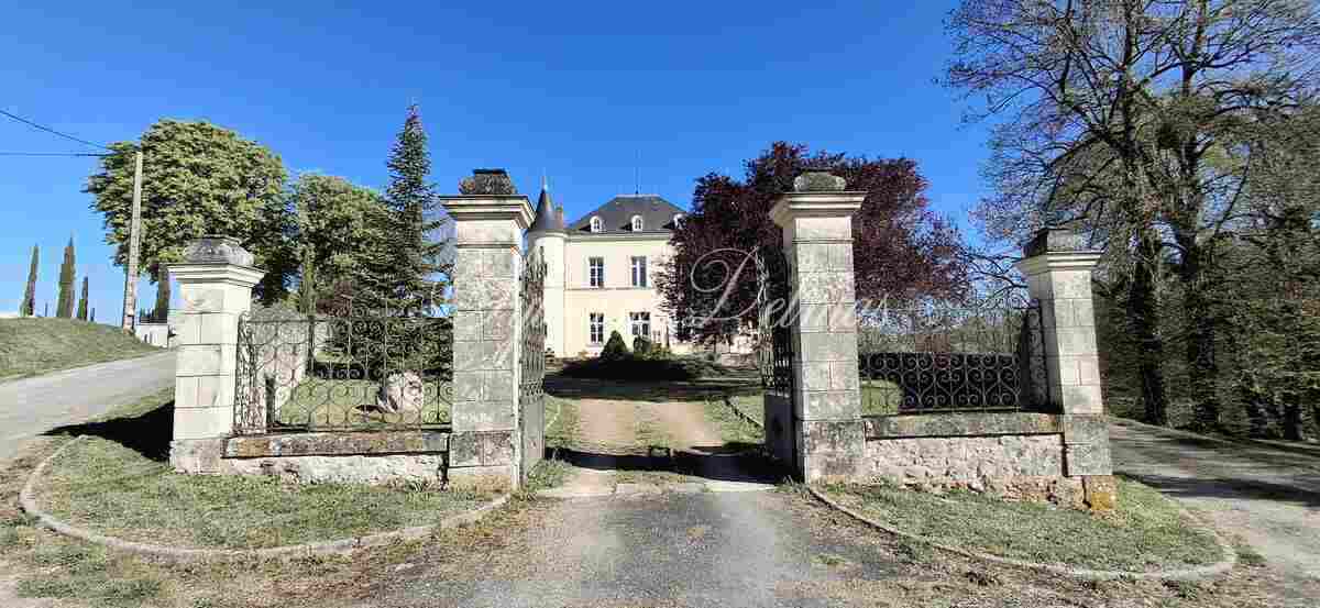 Magnifique château prêt à emménager, a 20min de Tours ! Prenez simplement les clés et installez-vous...