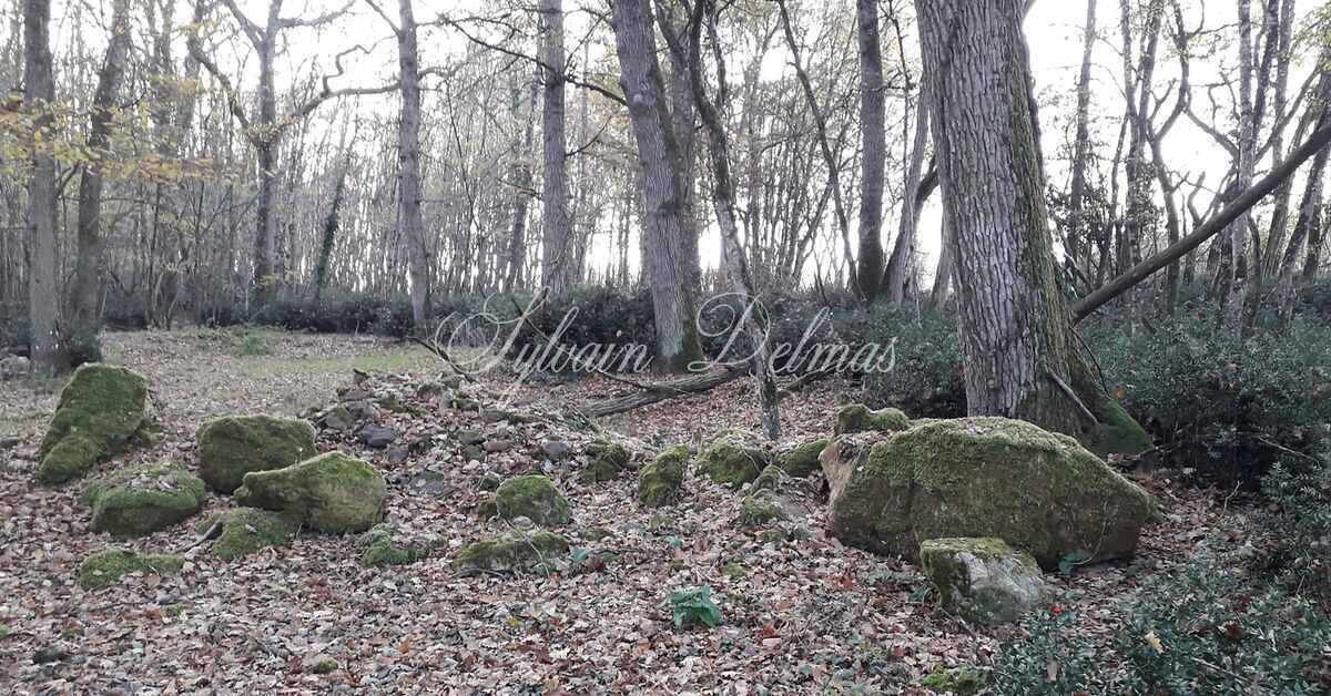 SOMPTUEUX CHÂTEAU DU XV DANS UN DOMAINE FORESTIER DE 96 HECTARES