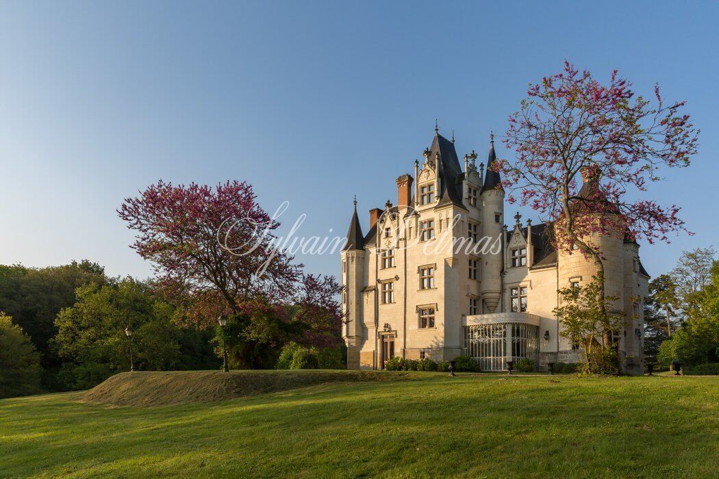 SOMPTUEUX CHÂTEAU DU XV DANS UN DOMAINE FORESTIER DE 96 HECTARES
