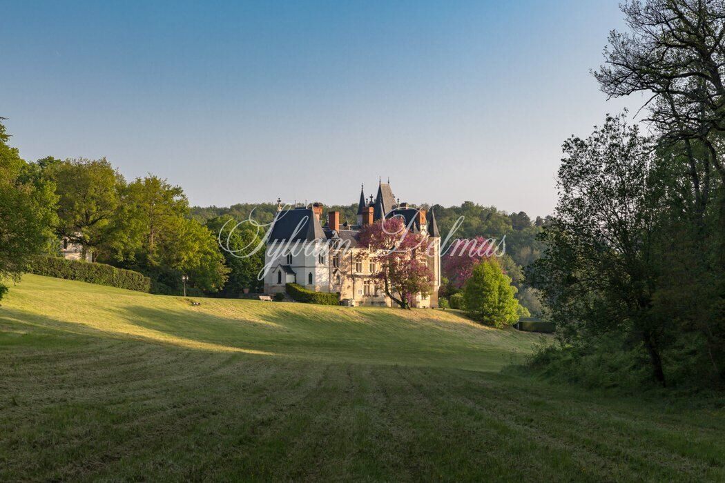 SOMPTUEUX CHÂTEAU DU XV DANS UN DOMAINE FORESTIER DE 96 HECTARES