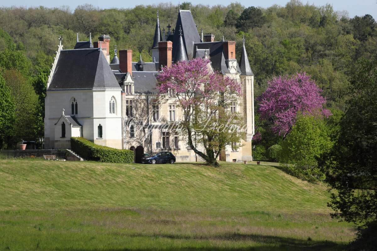 SOMPTUEUX CHÂTEAU DU XV DANS UN DOMAINE FORESTIER DE 96 HECTARES