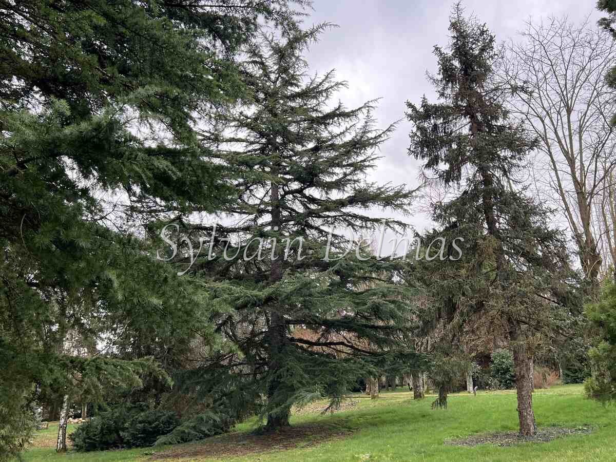 PROPRIETE SUR 1.5 HECTARES EN PERIPHERIE DE TOURS SUD